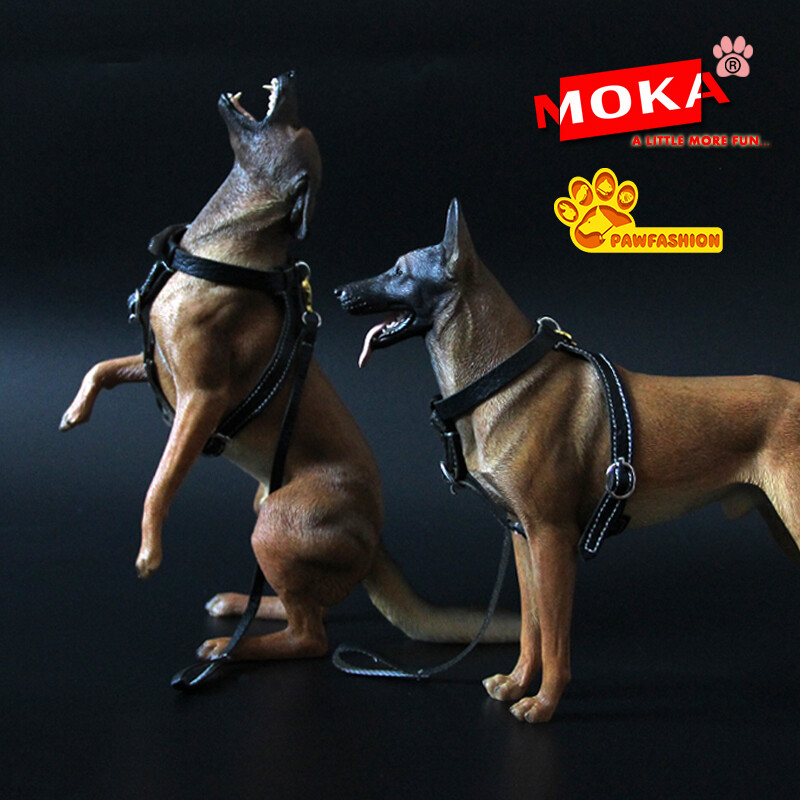 best chew toys for belgian malinois